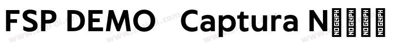 FSP DEMO   Captura N字体转换